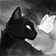 POKEMONU avatar: a black cat facing a glowing white butterfly